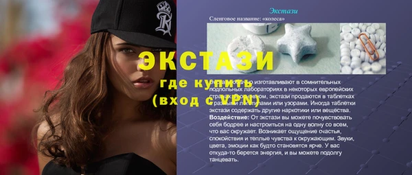 дживик Ельня