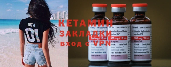 дживик Ельня