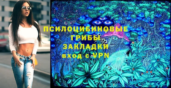 ГАЛЛЮЦИНОГЕННЫЕ ГРИБЫ Елабуга