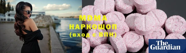 дживик Ельня