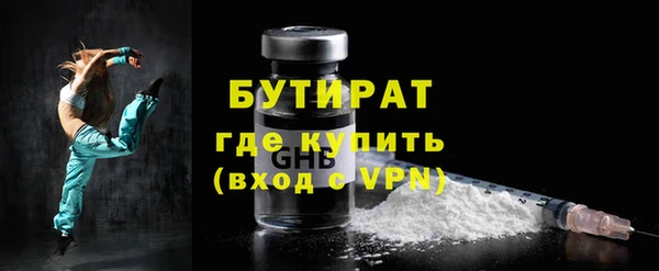 дживик Ельня