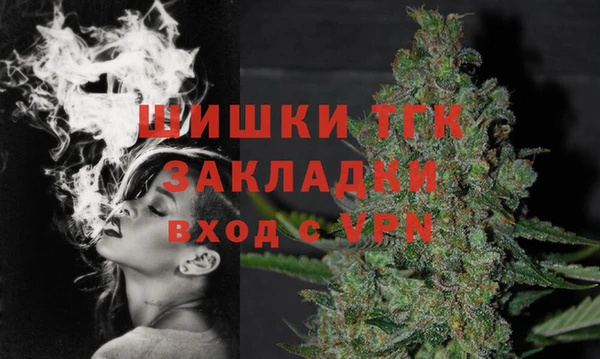 дживик Ельня