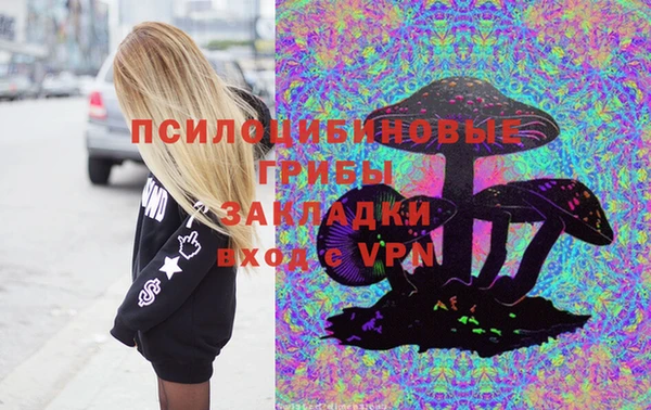 ГАЛЛЮЦИНОГЕННЫЕ ГРИБЫ Елабуга