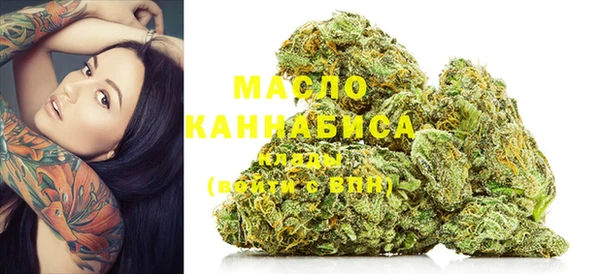дживик Ельня