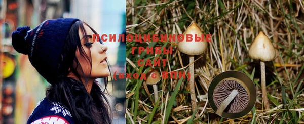 герыч Елизово