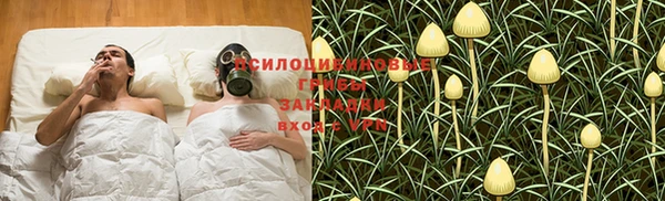 дживик Ельня