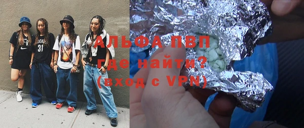 дживик Ельня