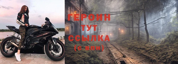 дживик Ельня