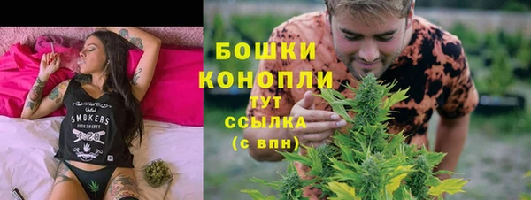 дживик Ельня