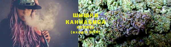 ГАЛЛЮЦИНОГЕННЫЕ ГРИБЫ Елабуга
